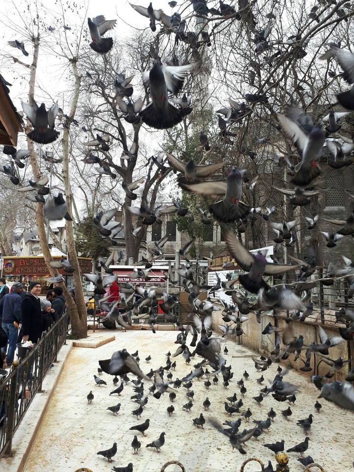 eyüp sultan camii