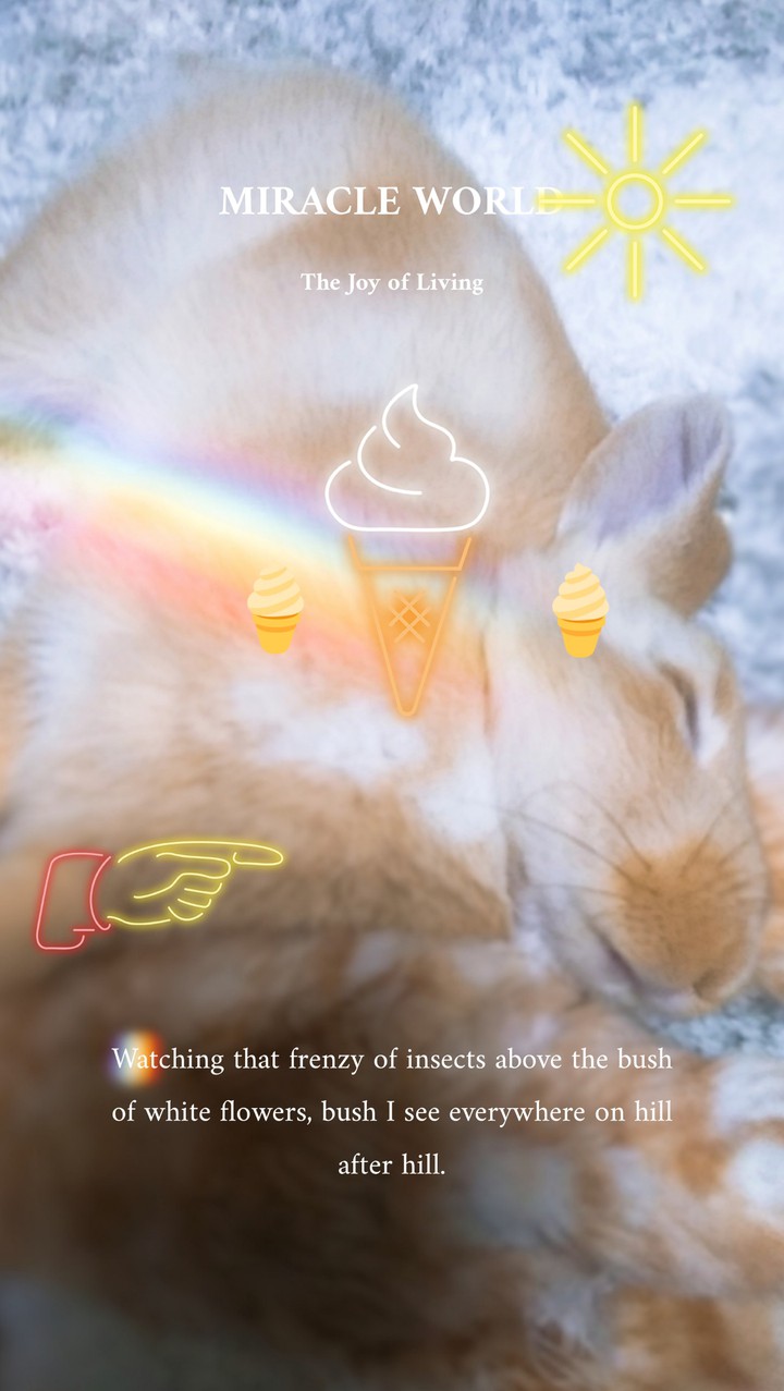 아이스크림_