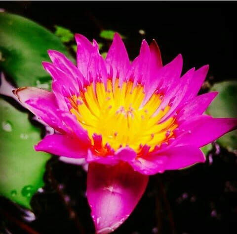 nature