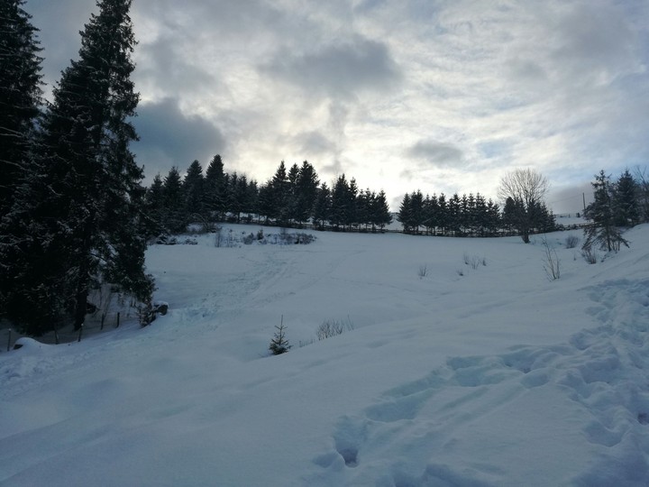 Snowy Skys