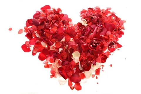 cœur d'amour