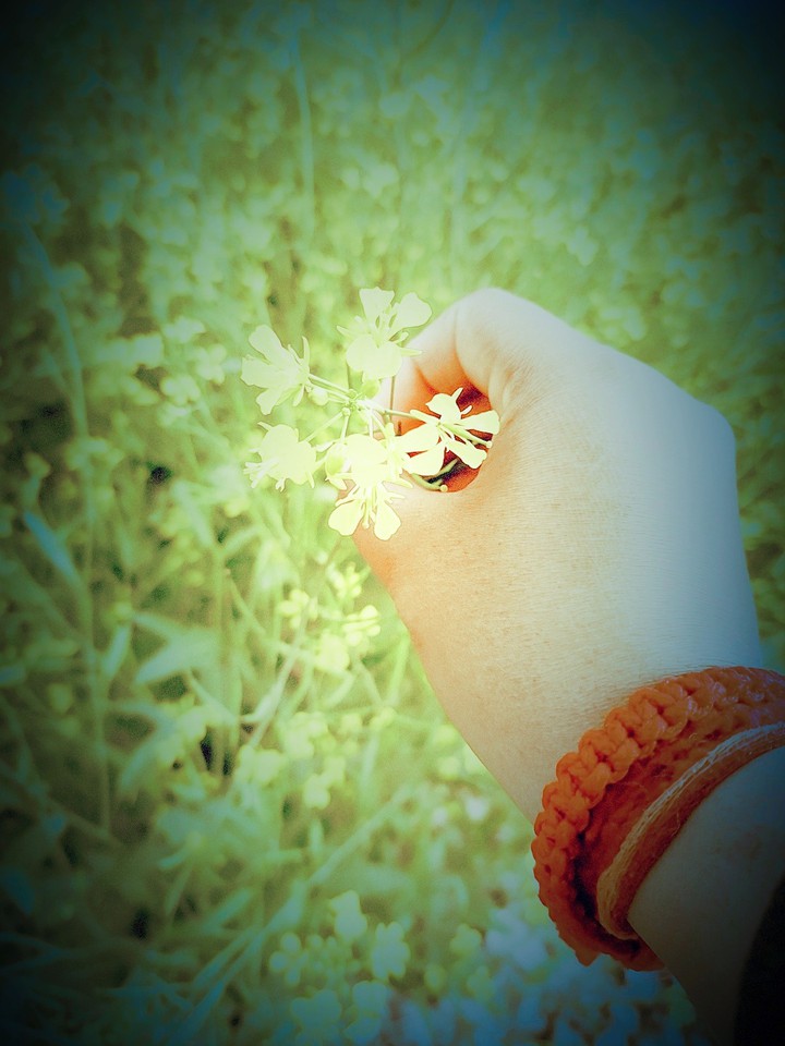 flower