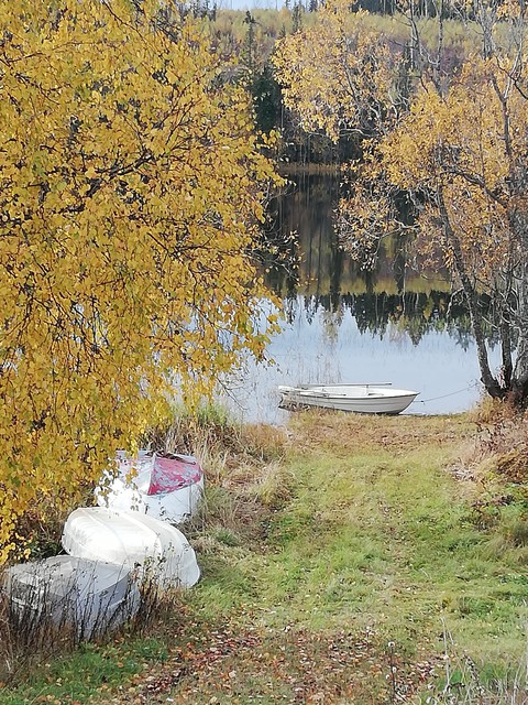 тапети leaf, grass