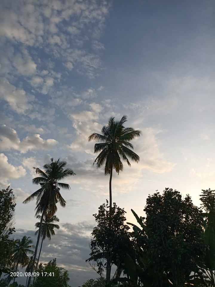 #sunset