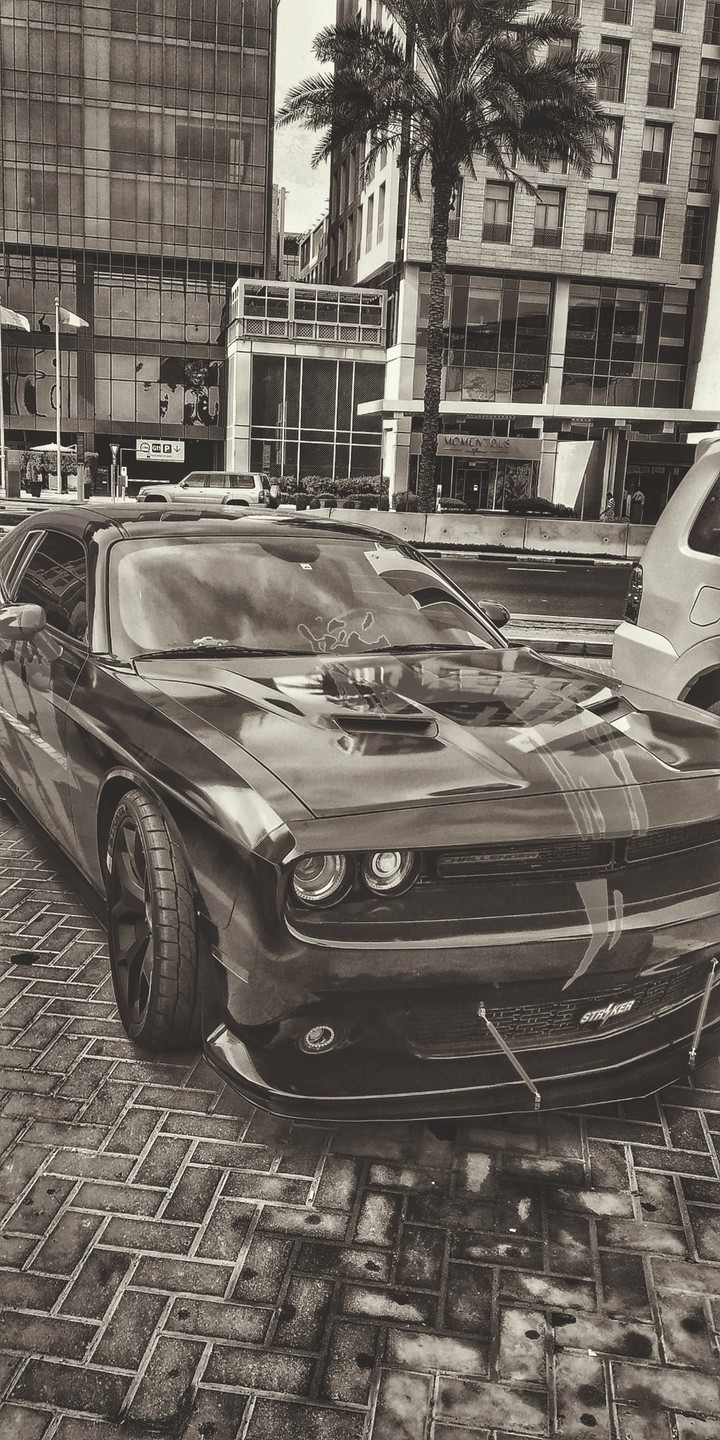 dodge