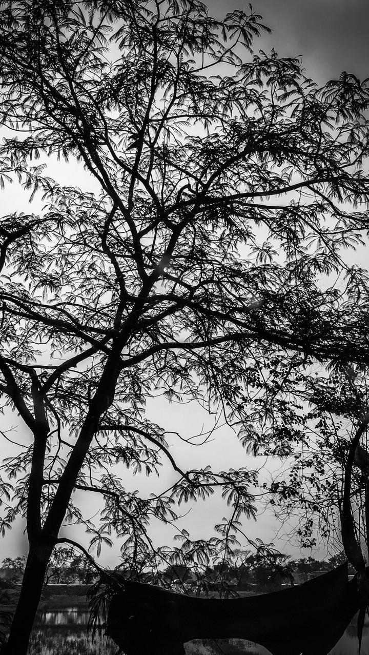 DARK
