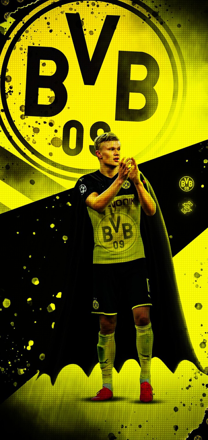 bvb