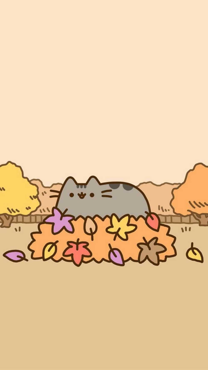 ? кот