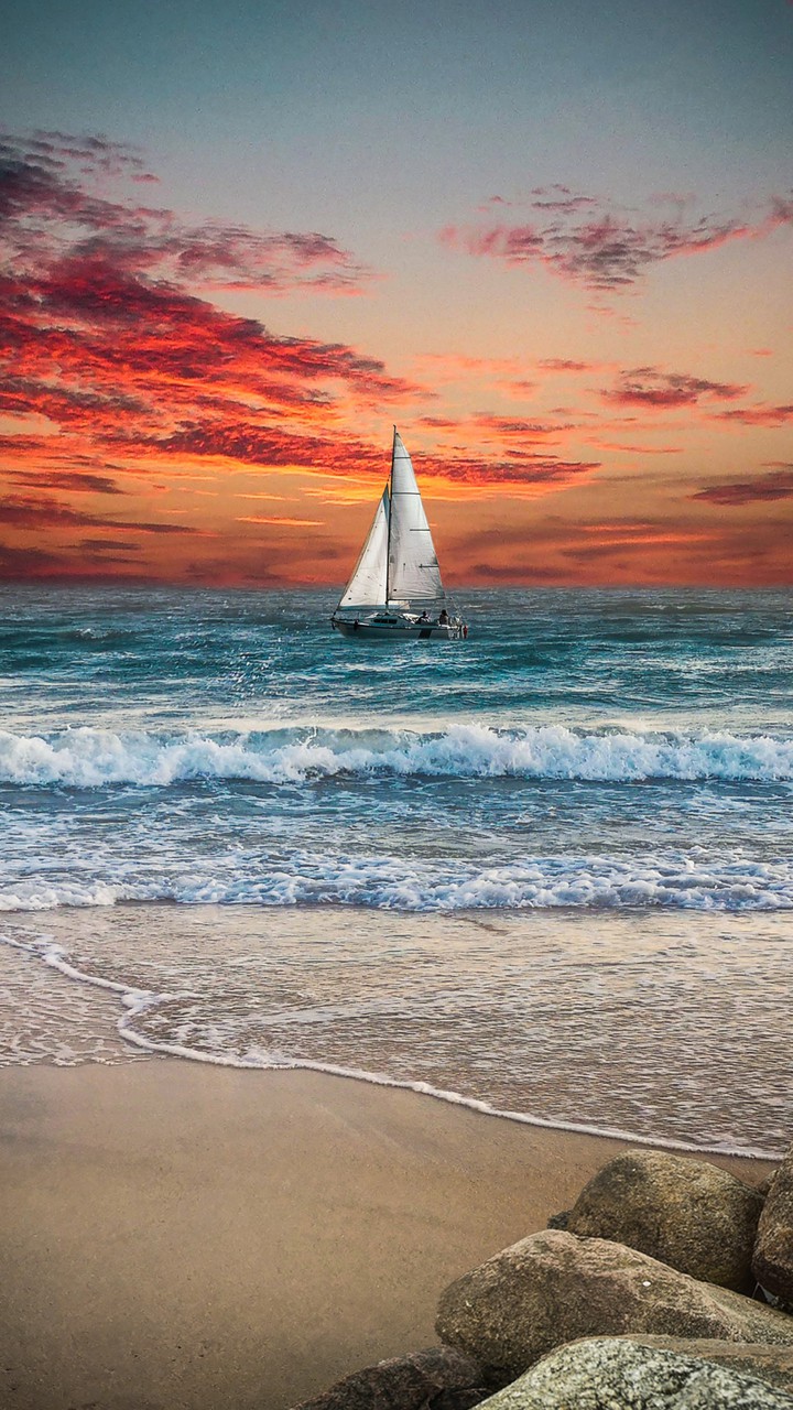 She was looking on the sea...