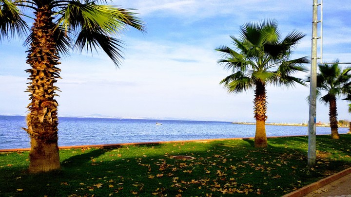 Yalova City