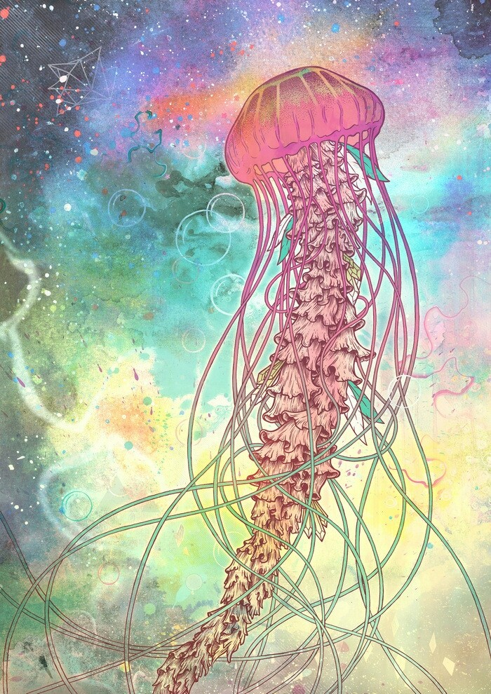 jellyfish