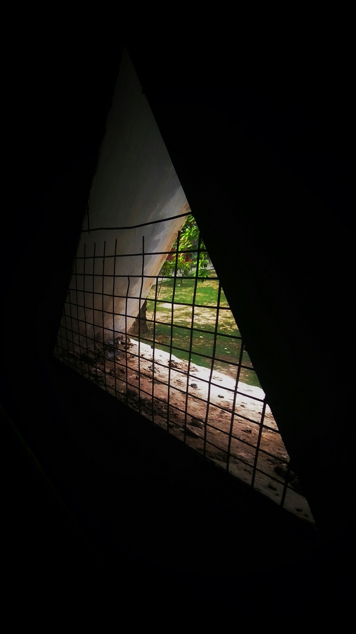 Window