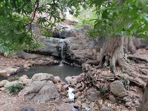 nature