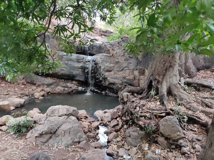 nature