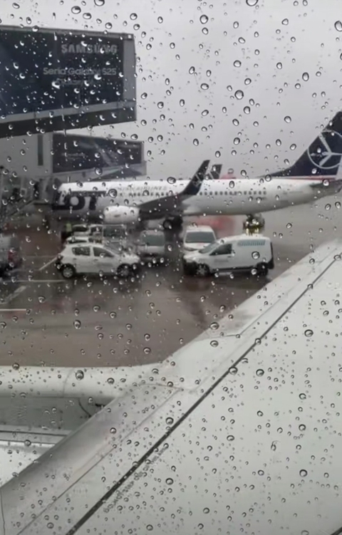 шпалери airline, wing