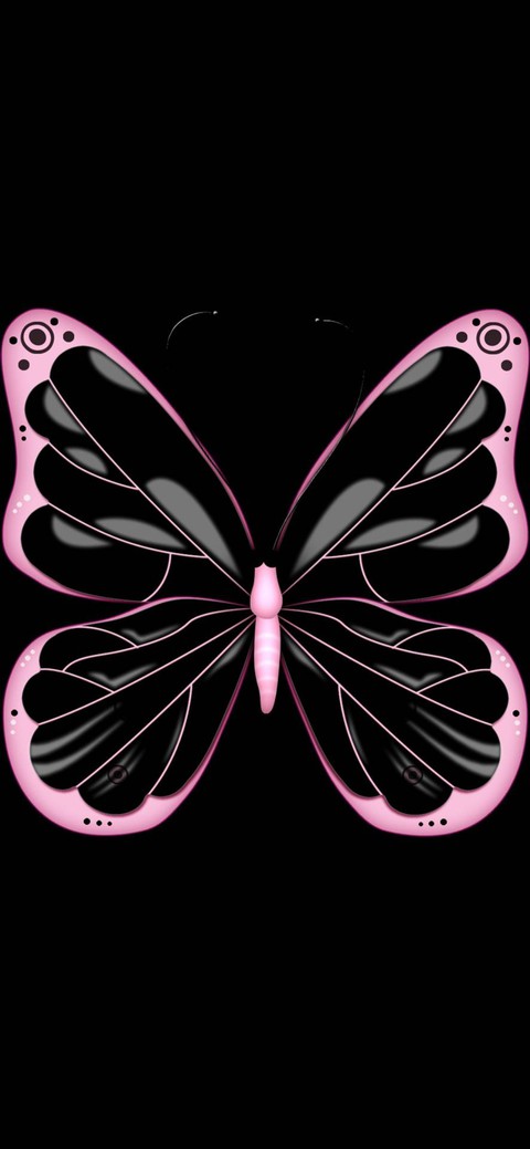 butterfly, 昆蟲桌布