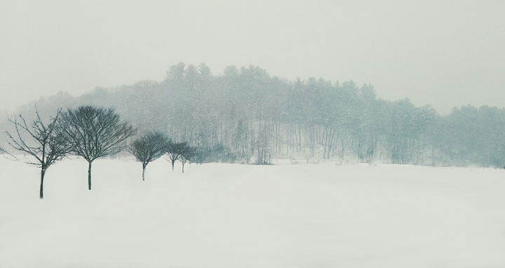 Snow Day