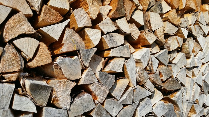 Holz