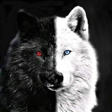 ♥