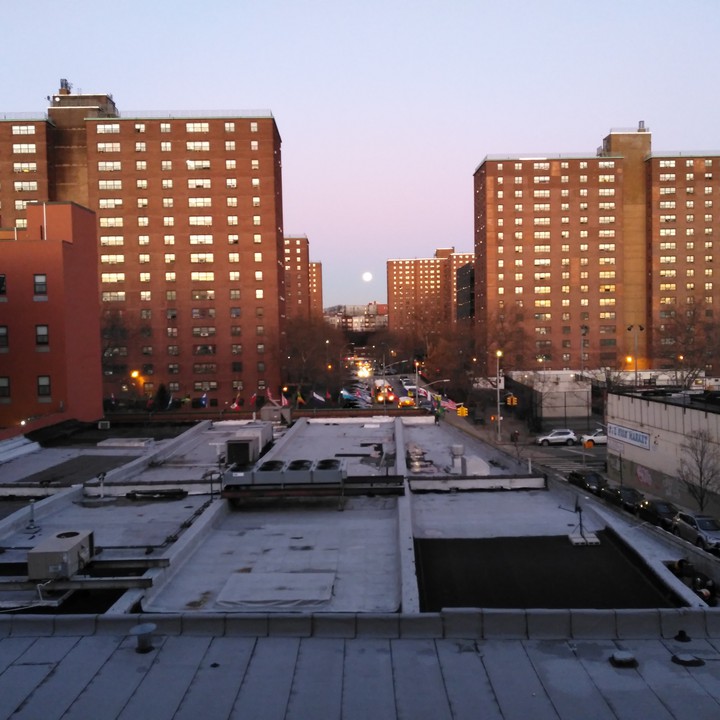 the Bronx ?