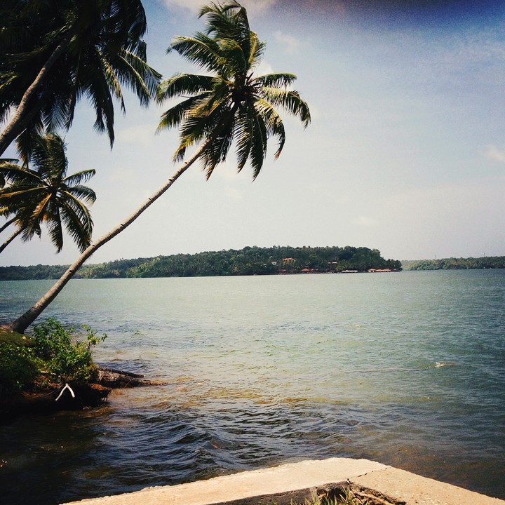 Backwaters