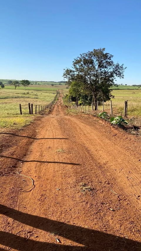 soil, ecoregion duvar kağıtları