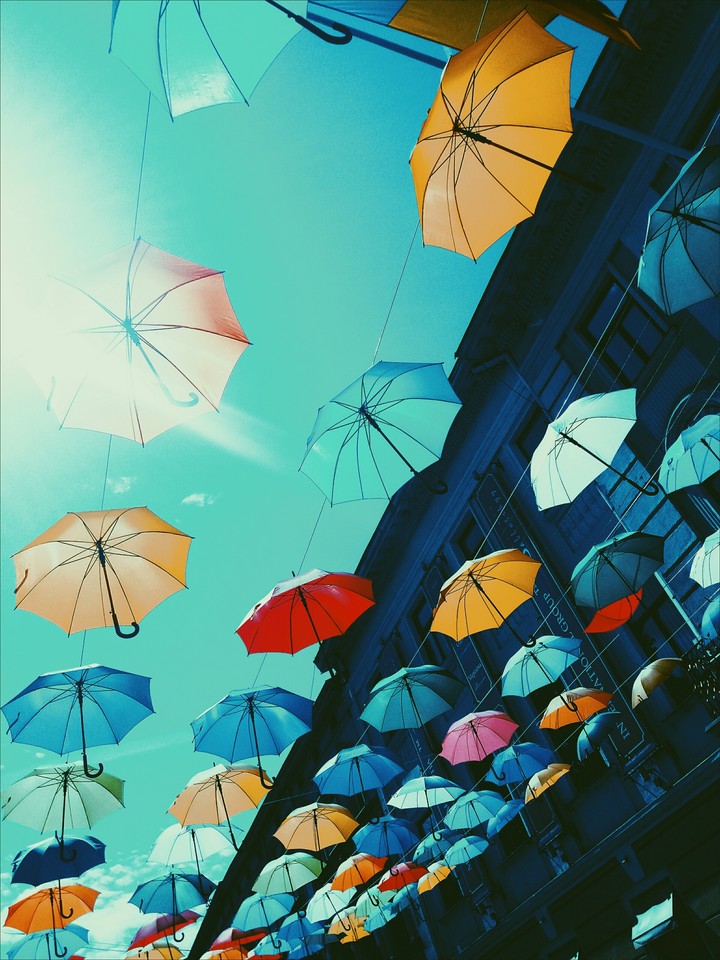 Butterflies or Umbrellas?