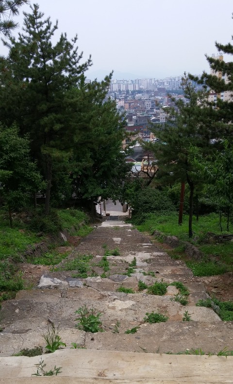 papéis de parede soil, trail