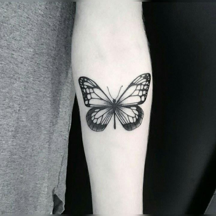 butterfly