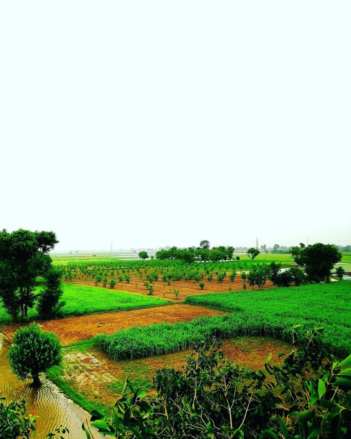 Village , Pakistan