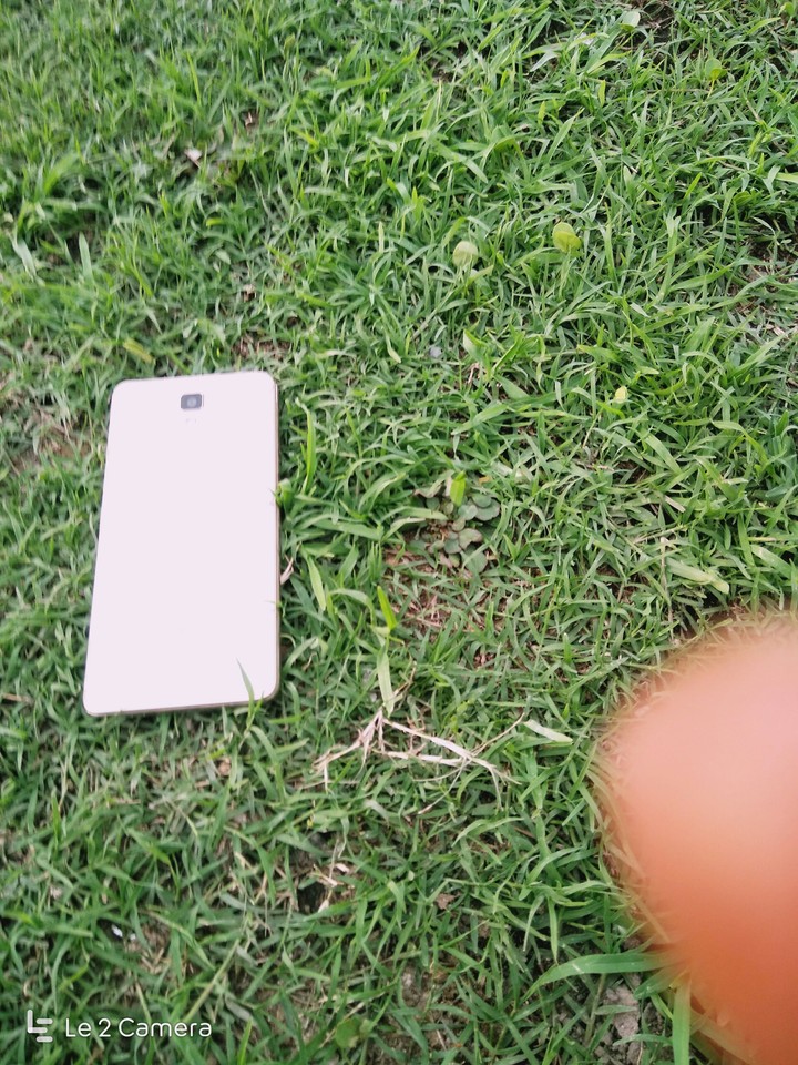 gionee