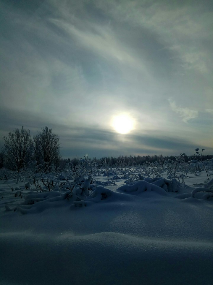 winter dreams