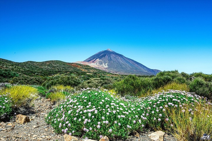 Teide
