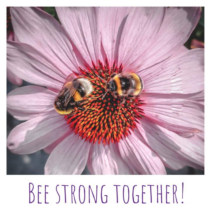 Bee strong together!