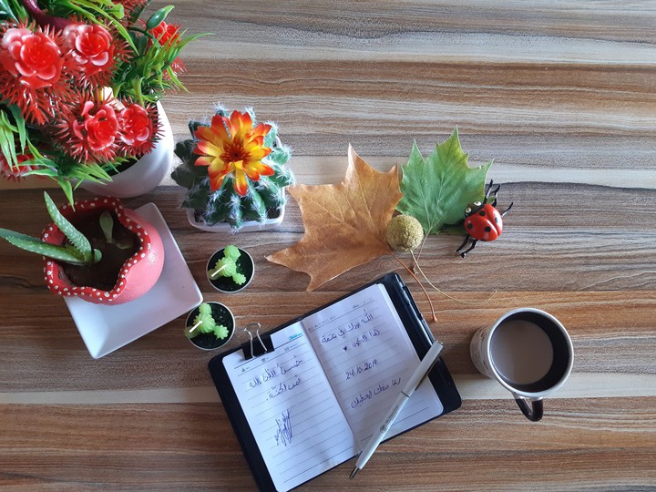 lovely autumn