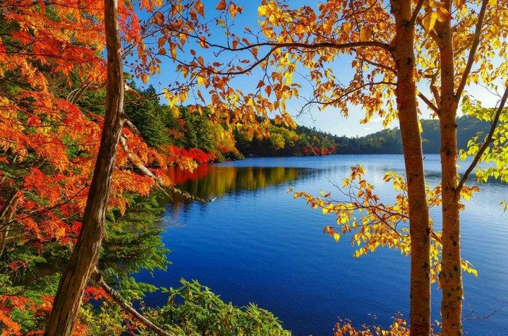 Amazing River