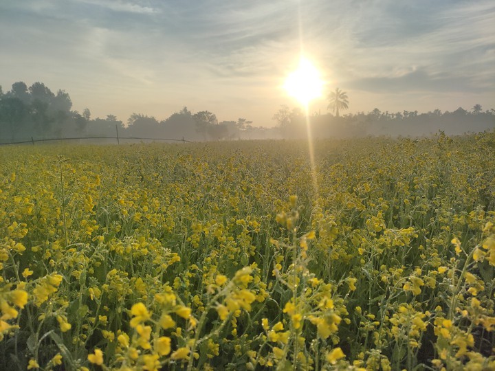 Sunrise with winter morning..