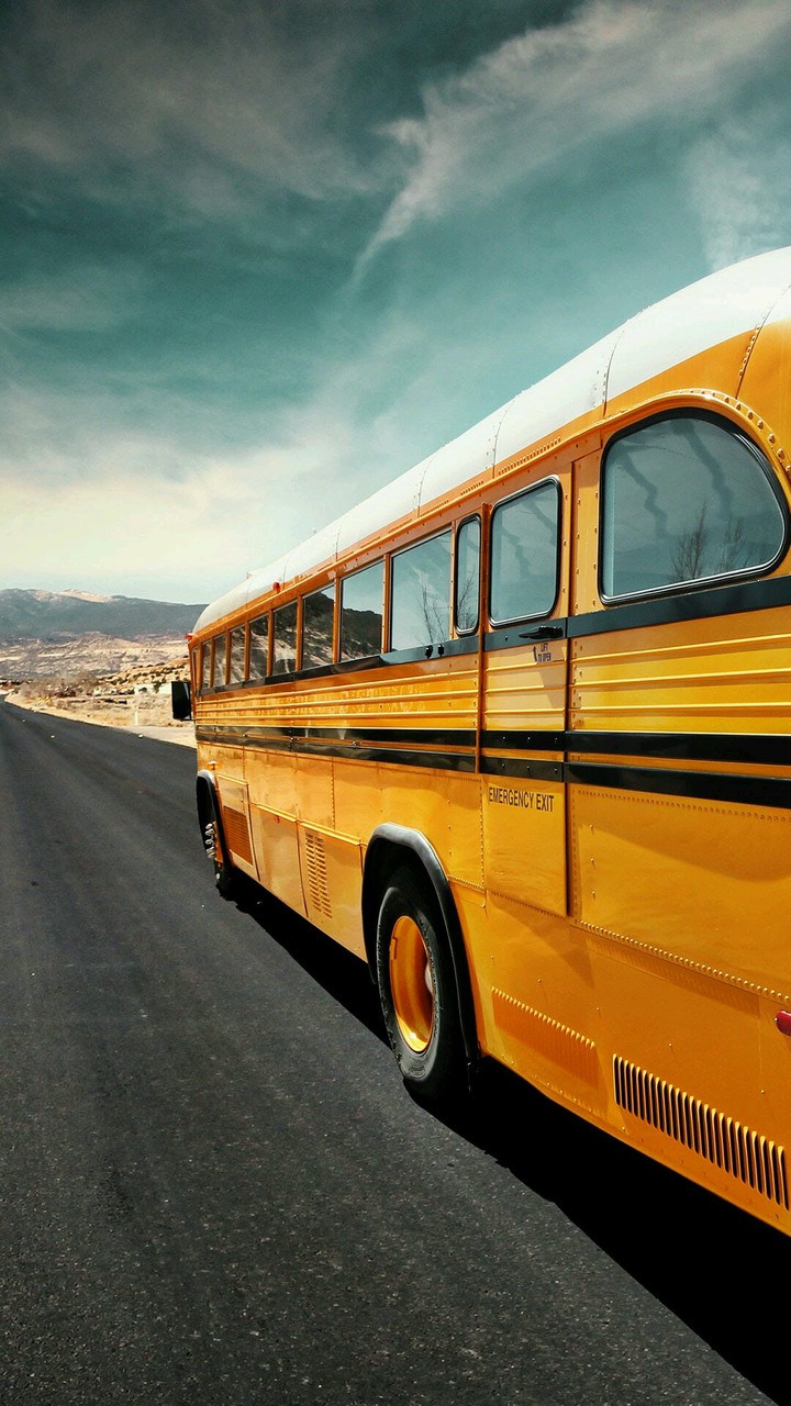 bus