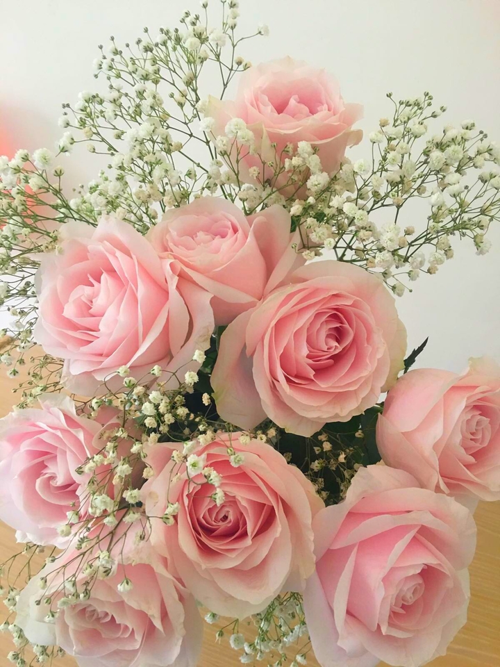 pink roses