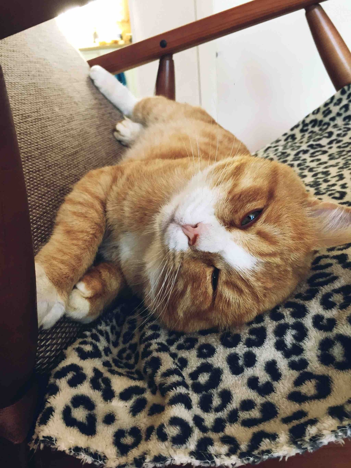 молота