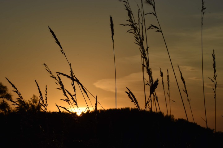 summer and sun