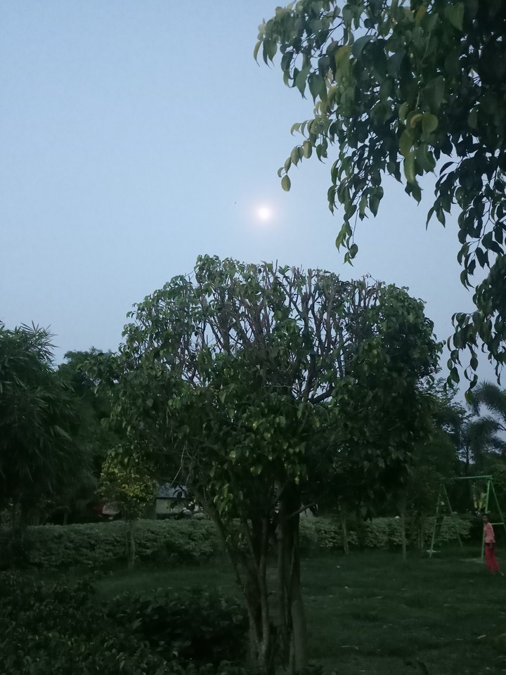 moon