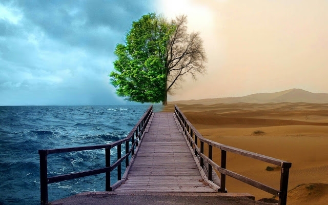 NATURE 50/50