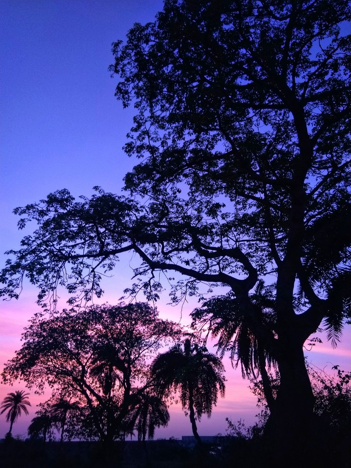 Evening