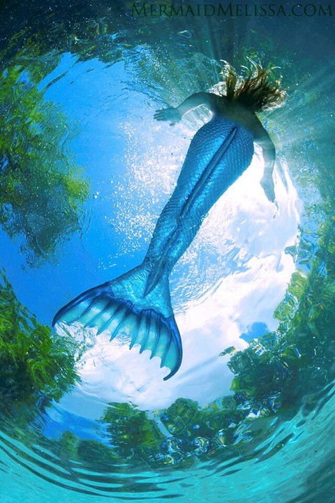 Blue Siren