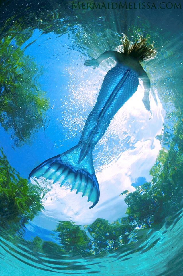 Blue Siren