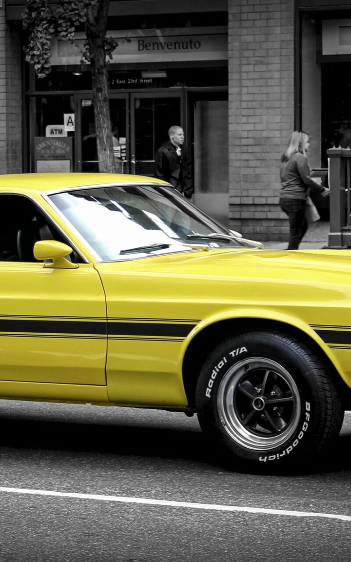 Yellow Muscle