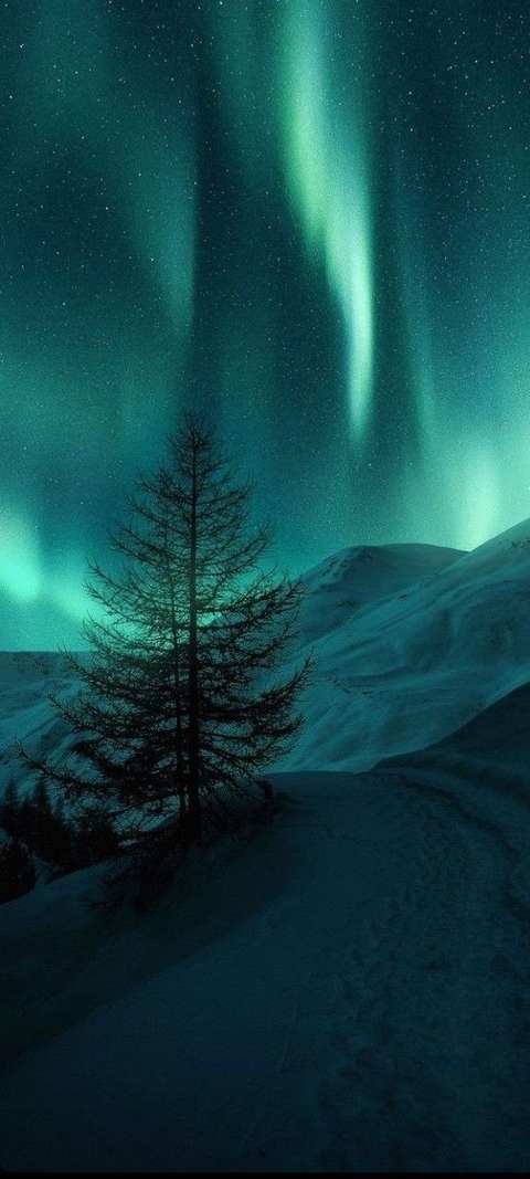 freezing, aurora háttérképek