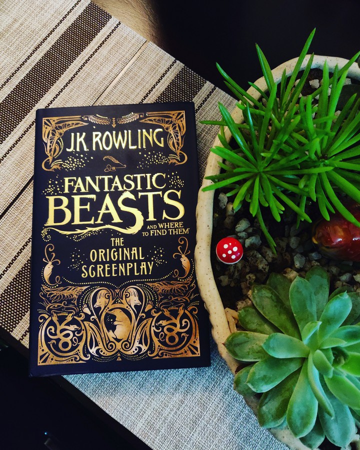 Book Love