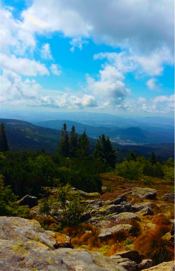 Mountain view